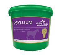 Global H Psyllium
