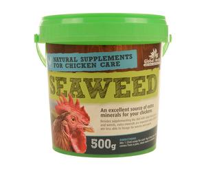 Global H Seaweed (Chicken)