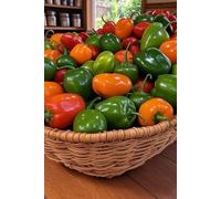 Global Heat: 50 Fiery Hot Sauce Recipes from Around the World (Sizzling Sauces & Condiments)
