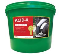 Global Herbs Acid X for Horses - 5kg