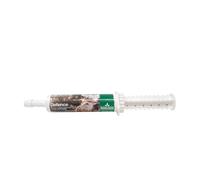 Global Herbs Defence Dog Immune and Recovery Supplement Paste 30 ml | Supports the Healing Process, Extra Support When Needed, Simple Daily Paste