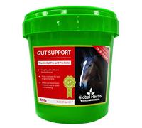 Global Herbs Gut Support (500G)