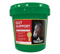 Global Herbs Gut Support for Horses - 1kg Tub