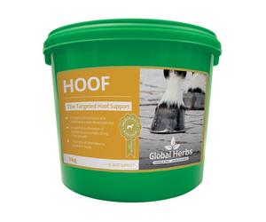 Global Herbs HOOF for Horses - 1kg Tub