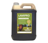Global Herbs Unisex Global Herbs Lamipro Supplement, Transparent, 1 Litre UK