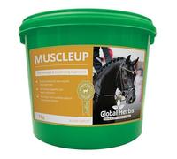Global Herbs - Equine Herbal Powder - MuscleUP - Muscle & Topline Support - 1kg Tub