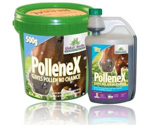 Global Herbs PolleneX for Horses - Syrup - 5 litre Bottle