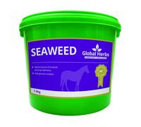 Global Herbs Pure Seaweed for Horses - 1.5kg Tub