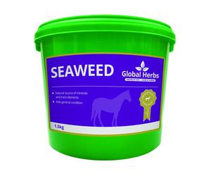 Global Herbs Pure Seaweed for Horses - 1.5kg Tub