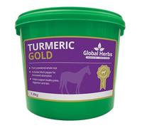 Global Herbs Turmeric Gold Equine Joint, Skin & Antioxidant Support Powder | Supports joint comfort and flexibility, Helps maintain healthy skin and coat, Rich in natural antioxidants