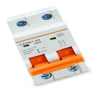 Global Solar 40A Breaker 1000V 2P for Photovoltaic Power Generation System 1Pcs