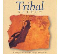Global Vision Project,the - Tribal Spirit