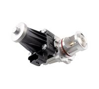 Globalautoparts EGR Valve for C30 S40 V40 V50 V60 S60 V70 S80 C3 C4 C5 DS3 DS4 DS5, 1618.LN 1702178 AV6Q9E456AA 36001479 1685740 1696587