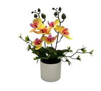 GLOBALHUT Elegant Phalaenopsis Indoor Bonsai, Realistic Simulation Orchid for Stylish Home and Workspace Decor (Yellow)