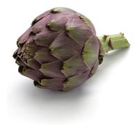 Globe Artichoke 10 units