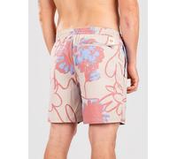 Globe Dreamin' Wild Boardshorts dune XL