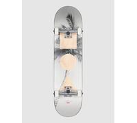 Globe G1 Stack 8.0" Complete lone palm Uni