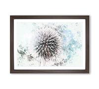Globe Thistle in Abstract Framed Print | A2 Walnut Framed Wall Art | Ready to Hang | Abstract Map Picture | Living Room Bedroom Lounge Office