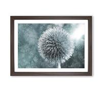 Globe Thistle Painting Framed Print | A2 Walnut Framed Wall Art | Ready to Hang | Modern Map Picture | Living Room Bedroom Lounge Office