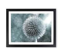Globe Thistle Painting Modern Art Framed Print | A3 Black Framed Wall Art | Ready to Hang | Modern Map Picture | Living Room Bedroom Lounge Office