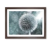 Globe Thistle Painting Modern Art Framed Wall Art Print, Ready to Hang Picture for Living Room Bedroom Home Office Décor, Walnut A2 (64 x 46 cm)