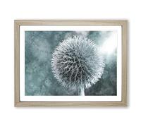 Globe Thistle Painting Modern Art Framed Wall Art Print, Ready to Hang Picture for Living Room Bedroom Home Office Décor, Oak A3 (46 x 34 cm)