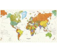Globe Turner: Contemporary World Wall Map - 36 x 20.5 inch Poster