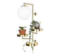 Globen Lighting - Astoria Wall Lamp, Brushed Brass - Brass