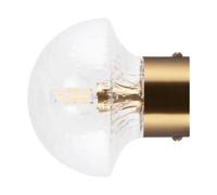 Globen Lighting - Fungo 16 Wall Lamp, Brushed Brass / Clear - Clear