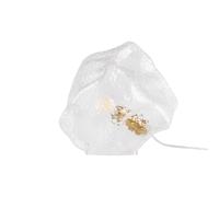 Globen Lighting Valerie 25 table lamp Clear