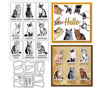 GLOBLELAND Cute Cats Illustrations Clear Stamp and Cutting Dies Set for Card Making Siamese Kitten Silicone Transparent Stamps Ragdoll Animals Metal Die Cuts for DIY Scrapbooking Photo Album Decor