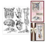 GLOBLELAND Organs Skeleton Gear Clear Stamps for Cards Making Human Bones Silicone Clear Stamp Seals 15x15cm Transparent Stamps for DIY Scrapbooking Photo Album Journal Home Decoration