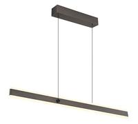 Luminosa Lighting Luminosa Gebaldo Pendant Ceiling Light Titanium Color Brushed Led Dimmable 2700-6000K Remote Control