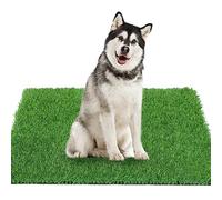 GLOBREEN Dogs Artificial Grass Pee Pad, 51.3" x 31.5" X-Large Dog Turf for Potty Training, Thick & High Drainage, Pets Fake Grass Patch Mat for Indoor Outdoor Use