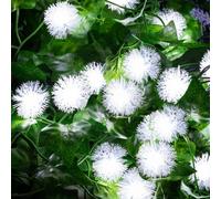 GloBrite 20 LED Dandelion Ball String Fairy Lights Dandelion Ball Solar Power Waterproof Lights for Outside Garden Camping Patio Party Christmas