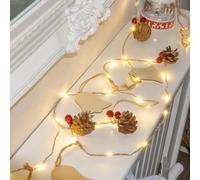 Globrite Led Fairy String Lights - 10 Bulbs, Black Cage - Battery Operated Indoor Outdoor Lighting For Home Garden Party Décor