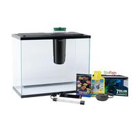GloFish Aquarium Starter Kit, 6.6 Gallon Fish Tank, Includes Blue & White LED Lights, Tetra Whisper Bio-Bag Filter & Thermometer
