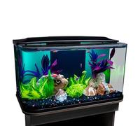 GloFish Glass Aquarium Kit, 20 Gallons, Includes Premium Blue, LED Light Stick & Integrated Filtration, Perfect for Beginners or Seasoned Hobbyists, Seamless, Curved Design