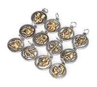 GLOGLOW 12Pcs Constellation Charms Stainless Steel Round Pendants Double Sided for DIY Jewelry Making, No Tools Needed, 1.5mm Stringing Hole, 12 Astrology Signs