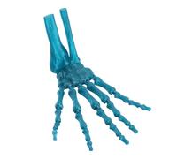 GLOGLOW 3D Printed Skeleton Hand Toy Prop, Articulated Fingers for Witch Ghost Cosplay, Peacock Green. Lifelike Decor for All Hallows Day, Haunted Houses, and Stage Shows 3D Printed
