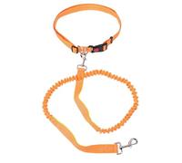 GLOGLOW Dog Leash Shock Absorbing Anti Pull Reflective Stretchy with Dual Elastic Design and D Ring for Walking Running Training (Orange Green)