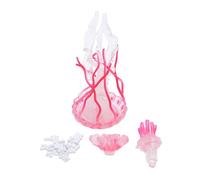 Glomora 4 Pcs Jellyfish Growth Cycle Figurine Educational Play Simulated Jellyfish Model Toy Realistic Ocean Animals Model for Home Office Party Decoration