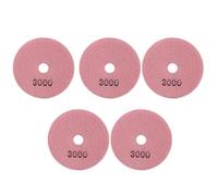 Glomora 5Pcs 4in Diamond Wet Polishing Pads Soft Grinding Disc Kit for Marble Granite Ceramics (GlomoramDxzrqs-19)