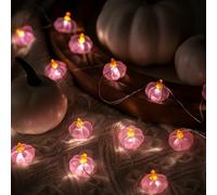 Glooglitter 2 Pcs Fall Thanksgiving String Lights 6.5 ft Pink Pumpkin Lights String Baby Shower Decorations for Thanksgiving Halloween Indoor Window Tree Yard Porch Door Decor