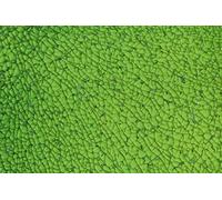 Glorex 6 2460 07 Glorex Crackle Mosaic Sheet Glass, Green, 15 x 0.5 x 27 cm