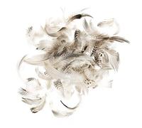 GLOREX Feathers, Natural, 5-12 cm