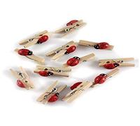 GLOREX Ladybird Mini Clothes Peg, Wood, Multicoloured, 11 x 5,6 x 1 cm