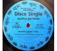 Gloria Estefan - Heaven's What I Feel 12 Inch (12" Vinyl Single) US Epic 1998