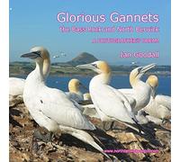 Glorious Gannets, the Bass Rock and North Berwick: A Photographer's Dream