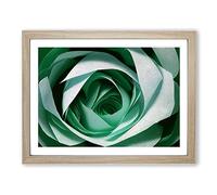 Glorious Rose Flower Framed Print | A4 Oak Framed Wall Art | Ready to Hang | Modern Floral Picture | Living Room Bedroom Lounge Office